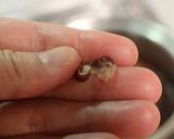 甘さ控えめのつぶ餡♪作り方4写真