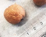 スノーボール(チョコ)♪おからパウダー作り方6写真