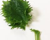 夏バテにも！ササミとシソの冷やしうどん作り方4写真