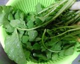 大根の葉炒め作り方1写真