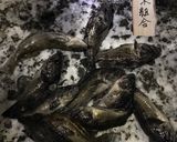 ソイのなめろう作り方1写真