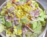 超楽々 キャベツ・ハイウェイスター蒸し作り方1写真