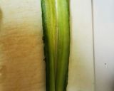 ニュースタイル☆きゅうりの編み寿司作り方1写真