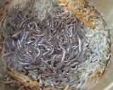 瀬戸内の春♪基本のいかなごのくぎ煮作り方9写真