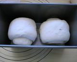 油分なしのオレンジピールたっぷりの角食作り方9写真
