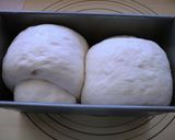 油分なしのオレンジピールたっぷりの角食作り方10写真