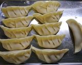 節約！キャベツとブロッコリーの芯餃子作り方3写真