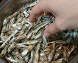 簡単！低糖質！子供のおやつにも♪ごまめ作り方1写真