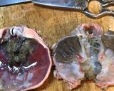 松葉蟹のおろし方作り方3写真