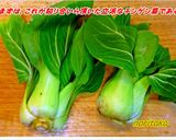 麻婆チン(/ω\)げん菜(⌒▽⌒)アハッ作り方2写真