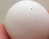 イースターエッグ♪卵の中身を抜く方法作り方2写真