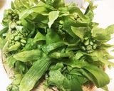 ふきのとう味噌作り方5写真