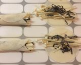 簡単！えのきと塩昆布のクルッとおつまみ！作り方1写真
