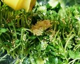 叩きキュウリと豆苗の旨塩サラダ作り方6写真