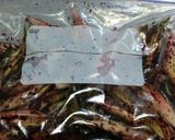 お手軽に♪しば漬け風 Pickle作り方3写真