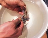 ホタルいかの下準備 やくぜんたく作り方3写真
