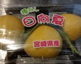 日向夏のカプレーゼ作り方3写真