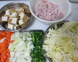 鶏もも肉と生揚げ（厚揚げ）の野菜炒め作り方1写真