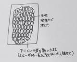 ザクッと濃厚！チョコ×チョコクッキー作り方12写真