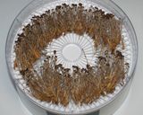 濃厚きのこ出汁☆乾燥きのこと春野菜スープ作り方8写真