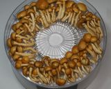 濃厚きのこ出汁☆乾燥きのこと春野菜スープ作り方15写真