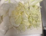 改訂版　肉団子と白菜と筍の春雨の煮込み作り方1写真