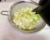 釜あげしらすとキャベツのナムル丼作り方1写真
