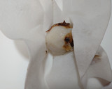 里芋はこれが１番！♫里芋蒸しわさび醤油♫作り方3写真