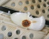 新玉ねぎの簡単サラダ作り方5写真