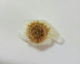 新玉ねぎの簡単サラダ作り方6写真