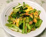かき菜と豚肉の炒めもの作り方7写真
