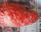 オニカサゴと焼き豆腐の煮付け作り方1写真