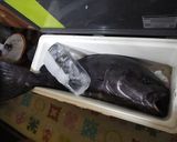 アブラボウズの漬け丼と漬け寿司＋α作り方9写真