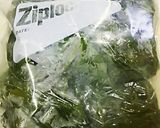 海からの贈り物♪佃煮にしました。作り方5写真