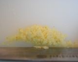 簡単☆具がたっぷり☆中華丼作り方8写真
