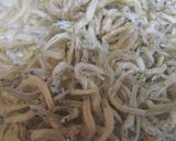 ウマッ♪栄養満点♪大根葉っぱのふりかけ作り方6写真