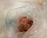 節分豆で！鶏肉と炒り大豆の炒め物♪作り方2写真