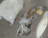スミイカ（コウイカ）と大根の煮物作り方4写真