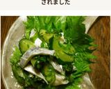 太刀魚と胡瓜と大葉の酢の物作り方5写真