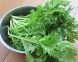 レタスとわさび菜のベーコンきのこサラダ作り方1写真