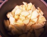 炊飯器で作る麹アップルフィリング作り方3写真