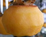 手揉み干し柿作り方10写真