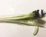 簡単節約！ふわふわ卵としめじの中華スープ作り方2写真