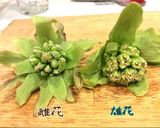 ふきのとうラーメン作り方1写真