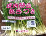 イカゲソと浅葱のジョン作り方1写真