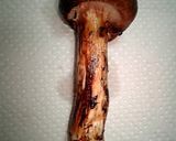 香りを楽しむ松茸ご飯☆作り方2写真