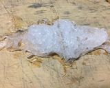 きゅうりとカニカマの春雨サラダ作り方3写真