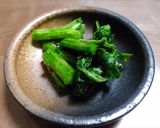 ハマダイコンの葉の即席漬け作り方6写真