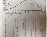 味噌づくり作り方20写真