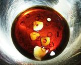 常備菜☆牛蒡の即席たまり漬け風作り方1写真